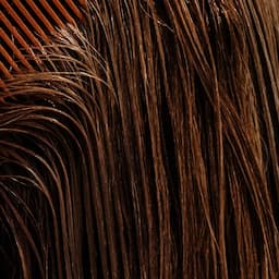 Roasted Chestnut Delight